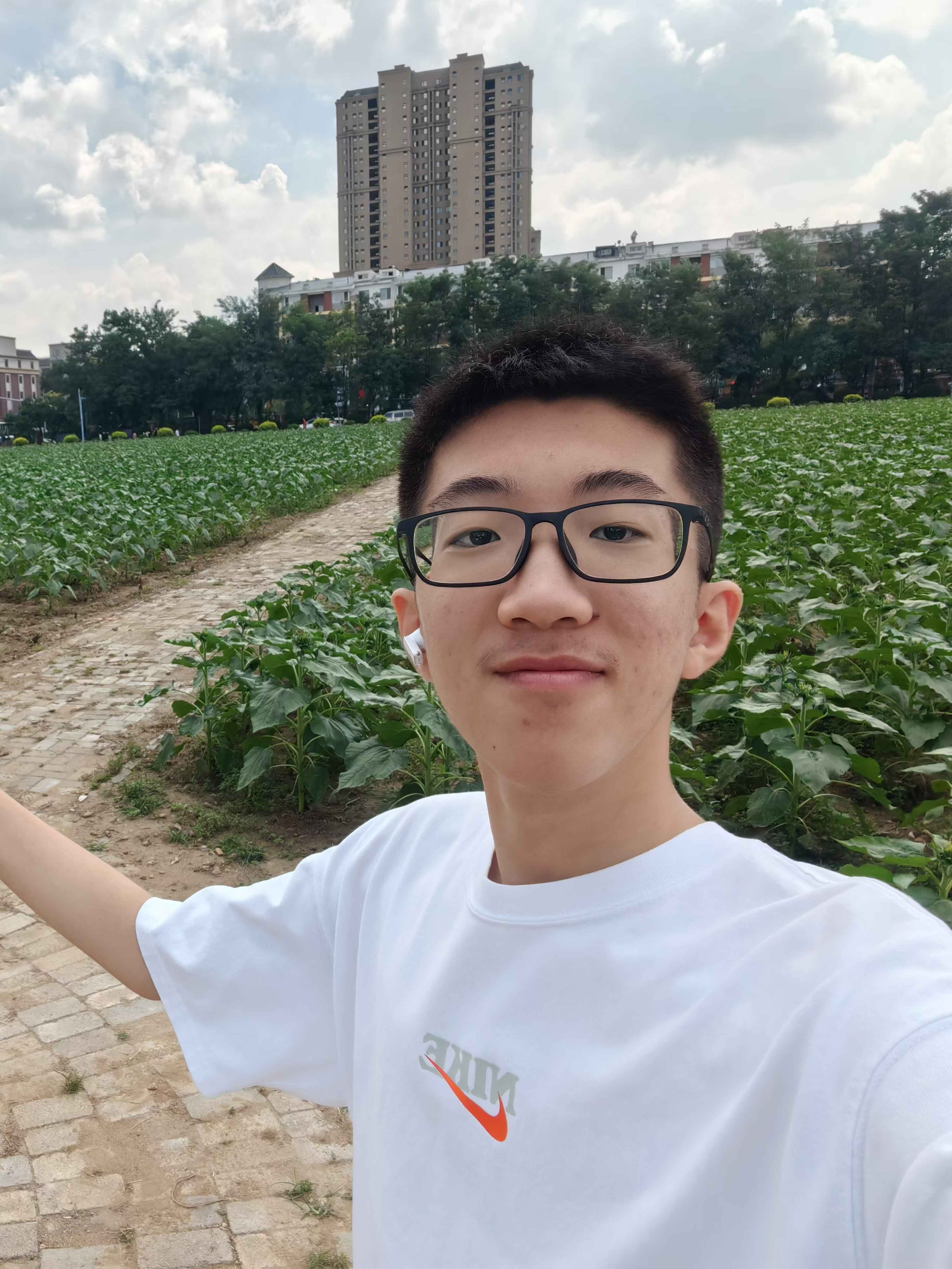 团队成员